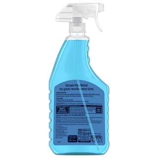 Windex Glass Cleaner
