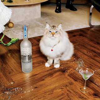 Belvedere Pure Vodka