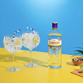 Gordon's London Dry Gin Bottle 1L
