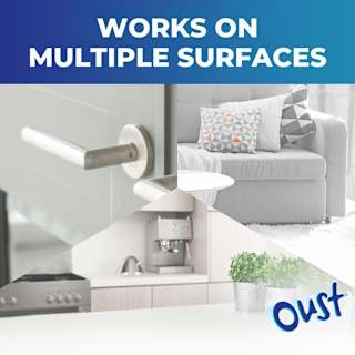 Oust 3 in 1 Outdoor Scent