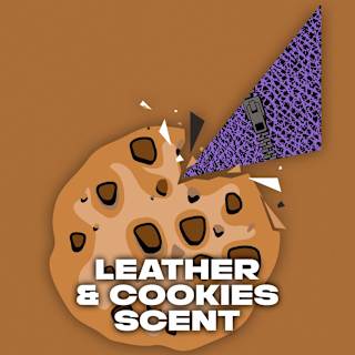 Lynx Collision Leather & Cookies Deodorant Bodyspray