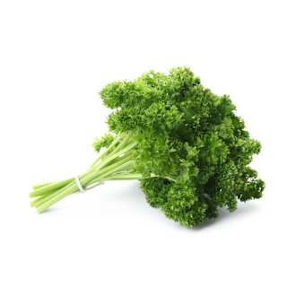 Curly Parsley Bunch