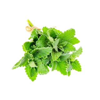 Mint Bunch