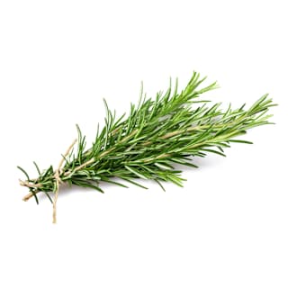 Rosemary Bunch