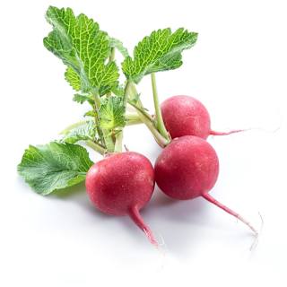 Radish Bunch