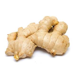 Ginger