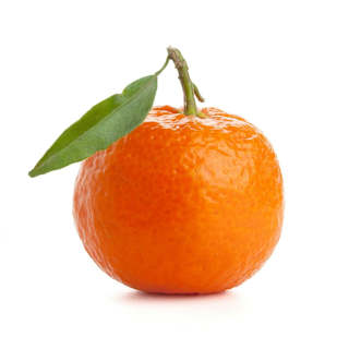 Imperial Mandarins