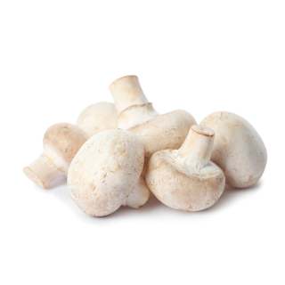 Mushroom Cups Loose