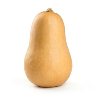 Pumpkin Butternut Whole