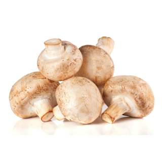 Mushrooms Cups