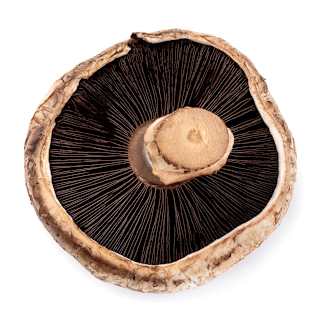 Flat Mushrooms