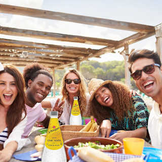 Schweppes Classic Mixers Indian Tonic Water