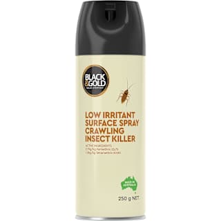 Black & Gold Surface Spray Low Irritant