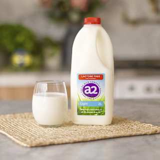 A2 Milk Lactose Free Light Milk