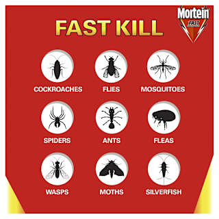 Mortein Insecticides Fast Knockdown Multi Insect