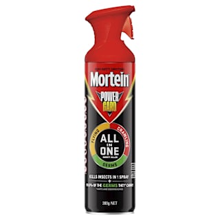 Mortein Powergard All In One Insect Killer Spray Eucalyptus