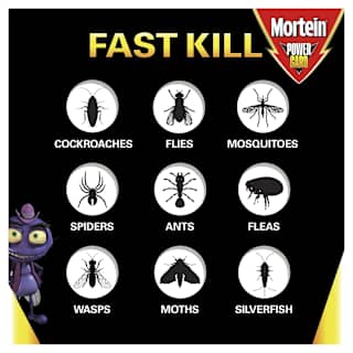 Mortein Powergard All In One Insect Killer Spray Eucalyptus