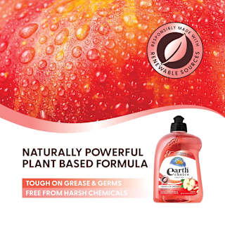 Earth Choice Dishwashing Liquid Red Apple