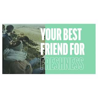 Fisherman's Friend Mints Fresh Sugar Free