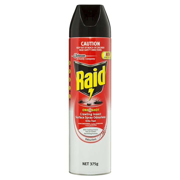 Raid One Shot Surface Odourless Crawling Insect Spray