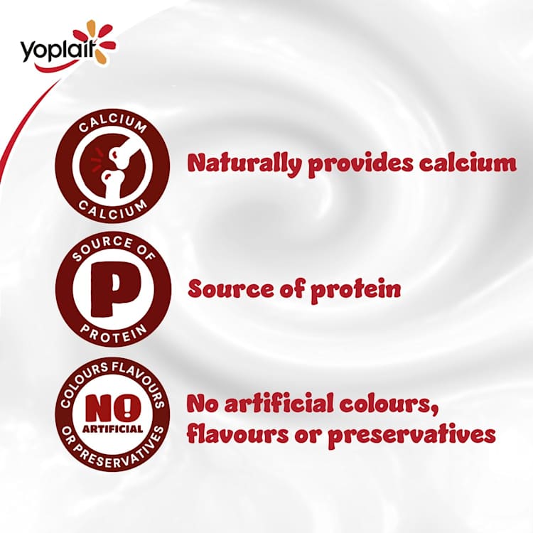 Yoplait Berry Punnet Yoghurt Multipack