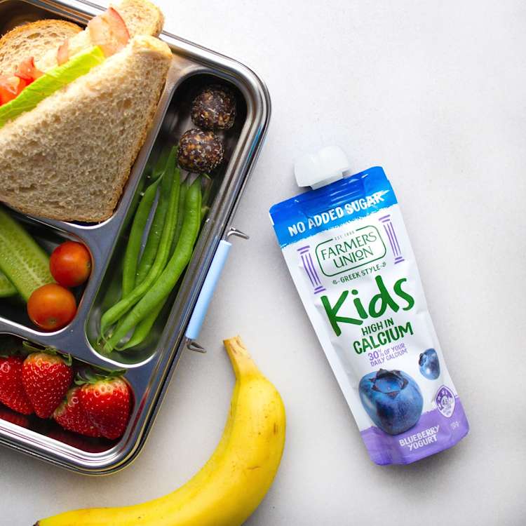 Farmers Union No Added Sugar Yoghurt Kids Pouch Blueberry
