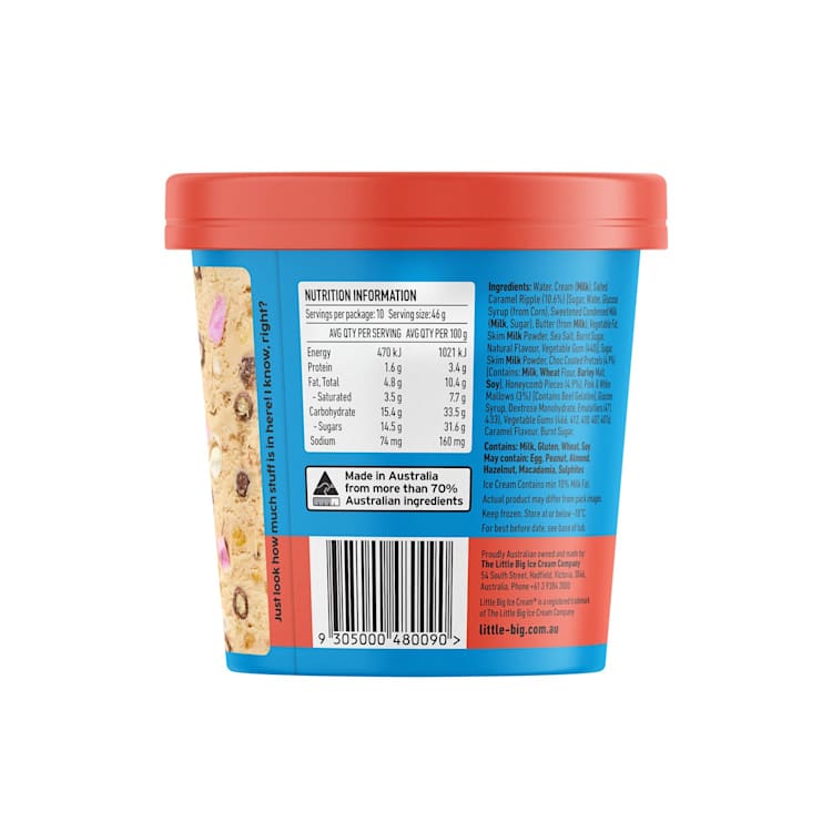 Little Big Buster Chunks Dog's Breakfast Ice Cream