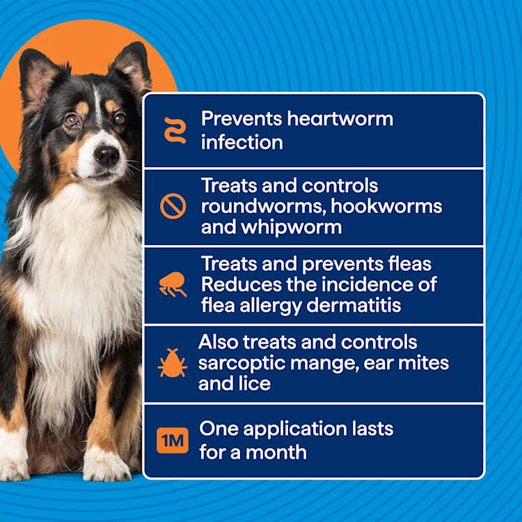 Purina Total Care Petcare Heartwormer All Wormer & Flea Medium Dog