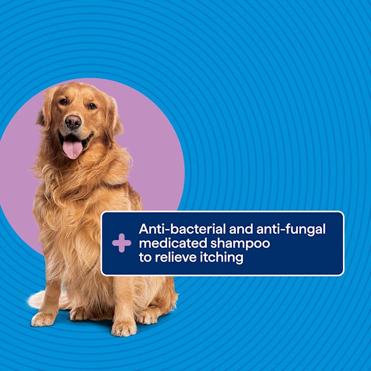 Purina Total Care Shampoo Shampoo Medicated Dog 