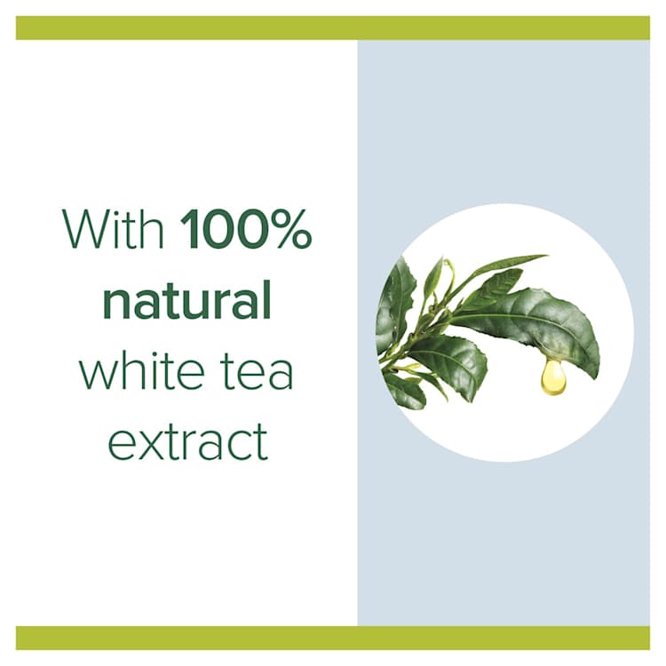 Palmolive Antibacterial Gentle Clean Liquid Hand Wash Refill