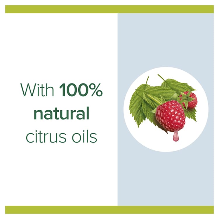 Palmolive Foaming Hand Wash Soap Raspberry Pump