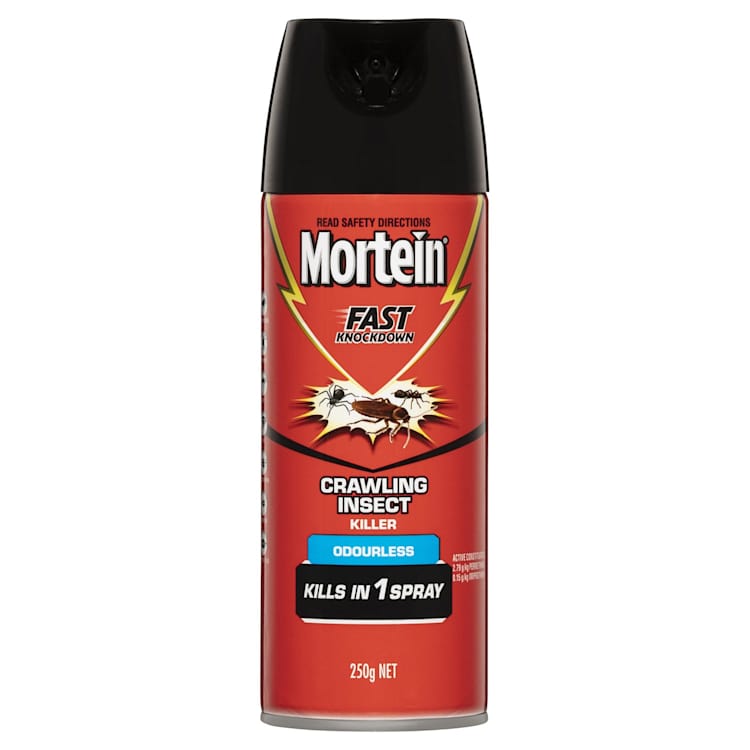 Mortein Fast Knockdown Odourless Surface Spray Crawling Insect Killer
