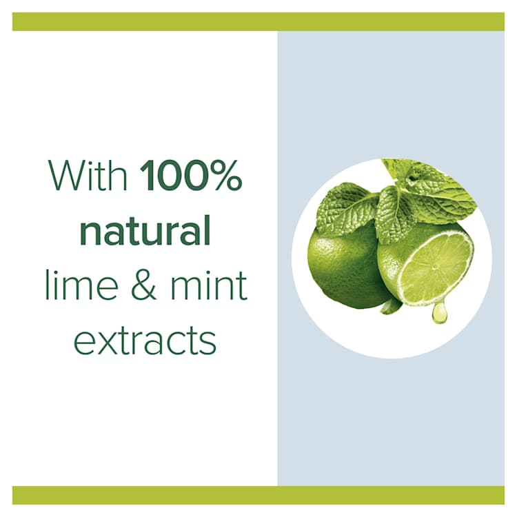 Palmolive Antibacterial Foaming Hand Wash Soap Lime Refill