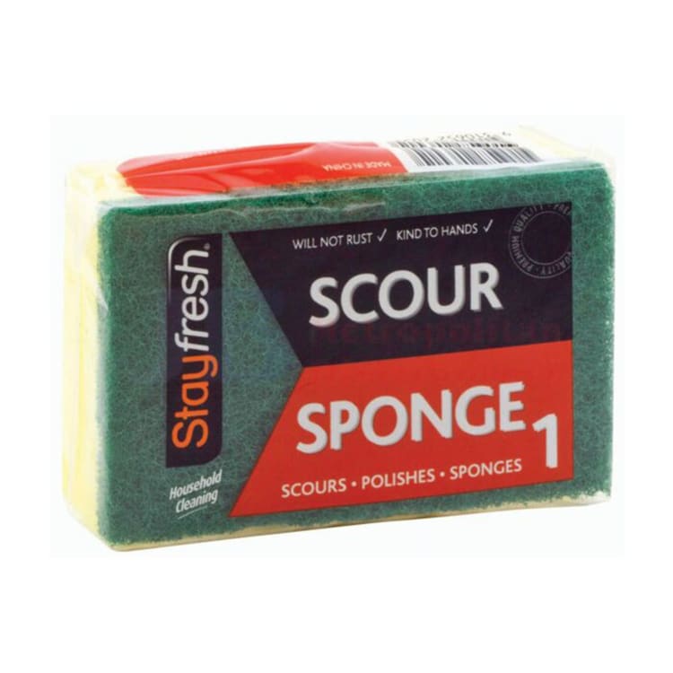 Stay Fresh Scour Sponge