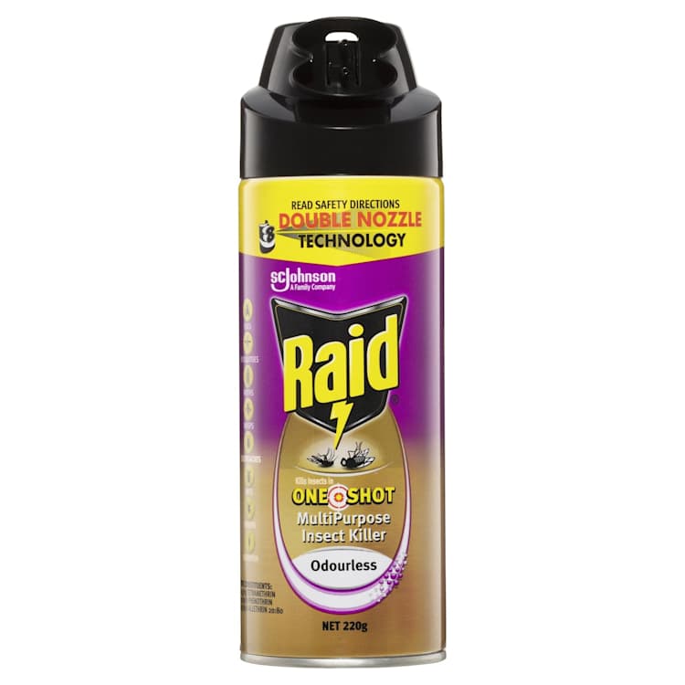 Raid Multi Purpose Insect Killer One Shot Odourless