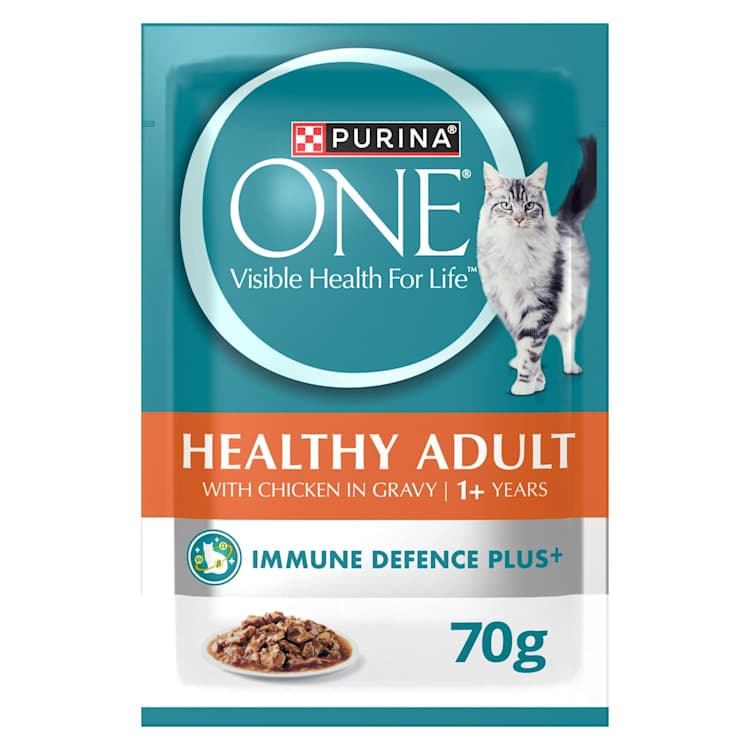 Purina One Adult Pet Food Chicken