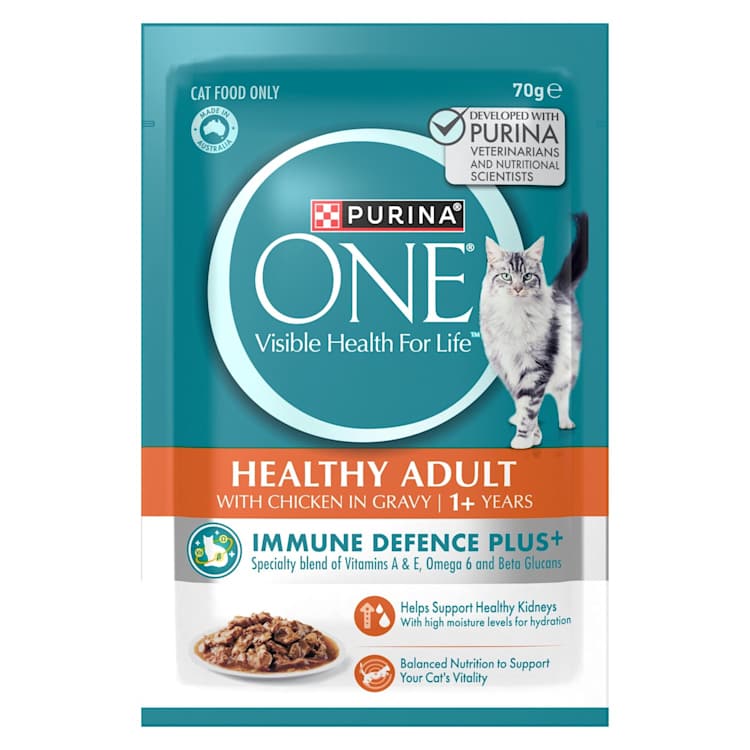 Purina One Adult Pet Food Chicken