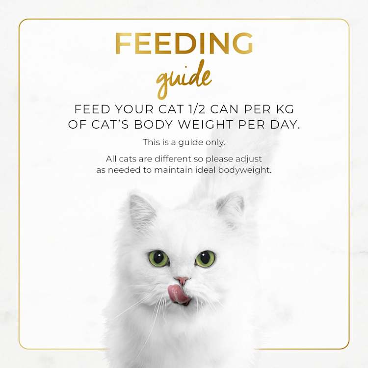 Purina Fancy Feast Classic Chicken Feast