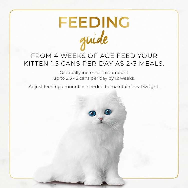 Purina Fancy Feast Kitten Pet Food Classic Chicken