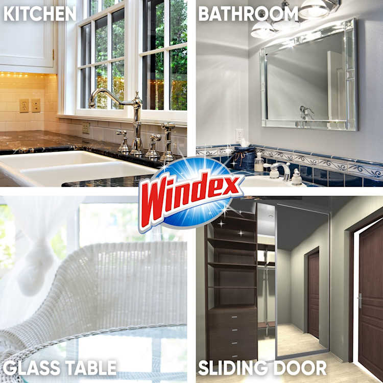 Windex Glass Cleaner Trigger