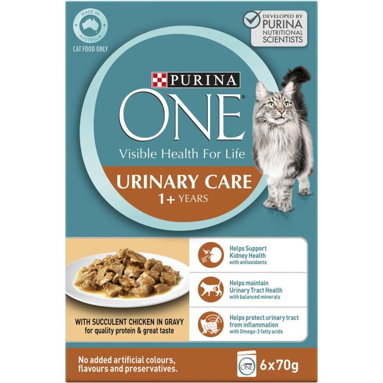 Purina wet cat food urinary hot sale