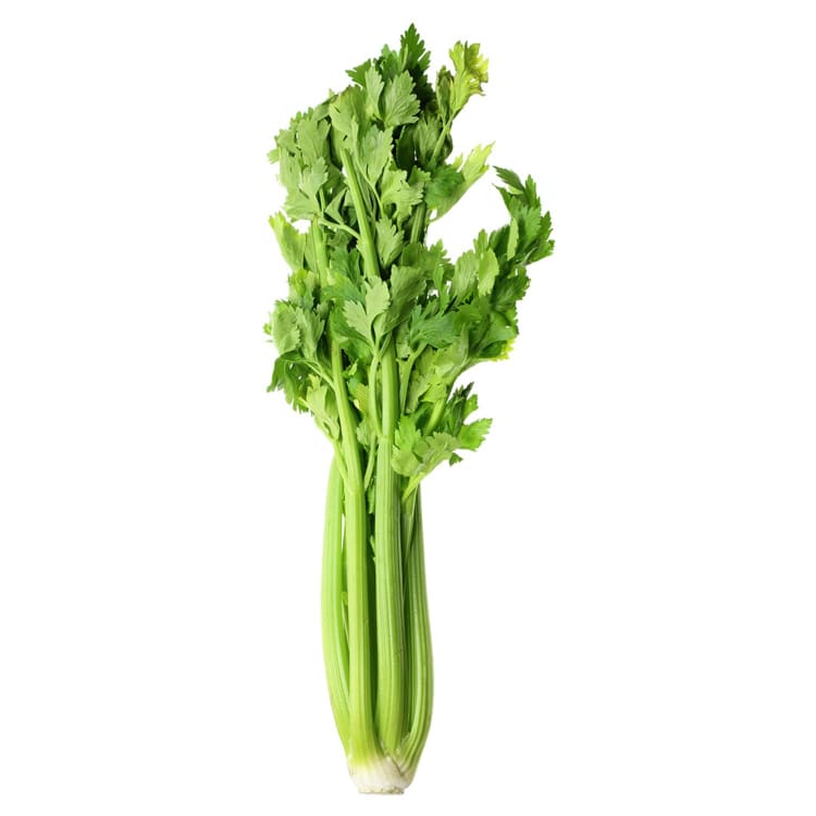 Celery Bunch
