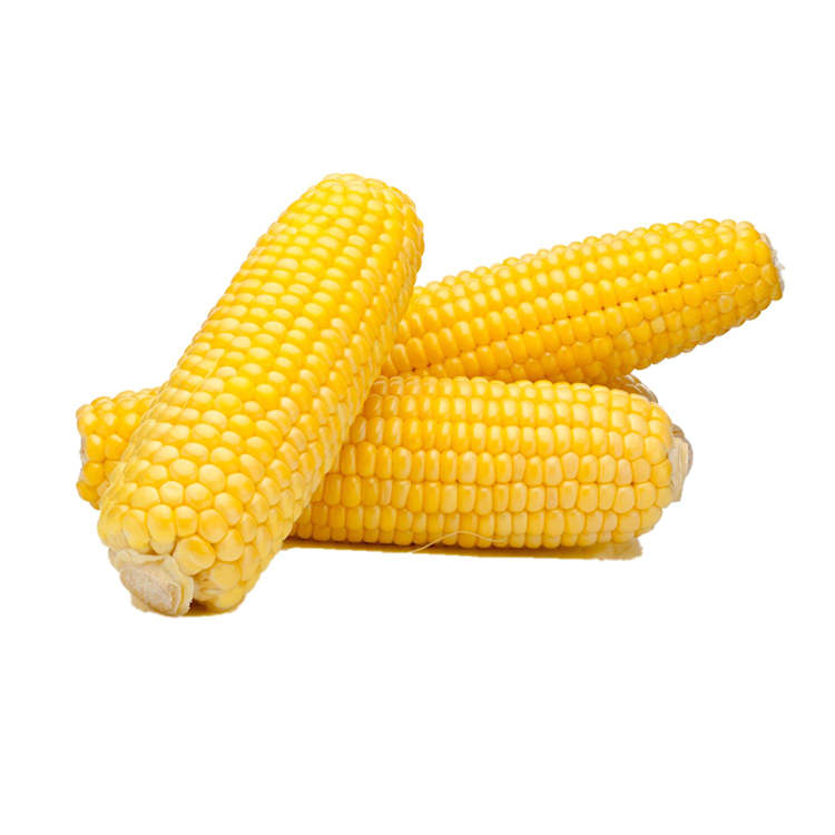 Sweet Corn Cob Each