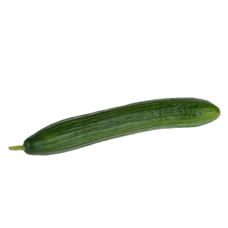 Continental Cucumber
