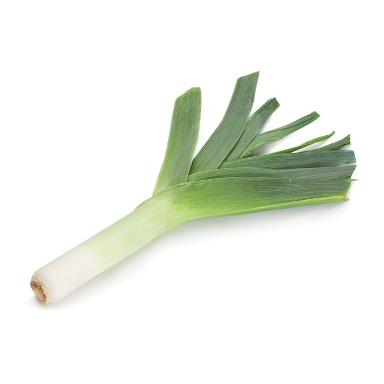 Leek