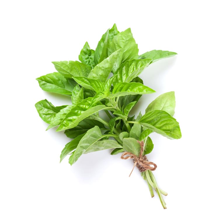 Basil Bunch