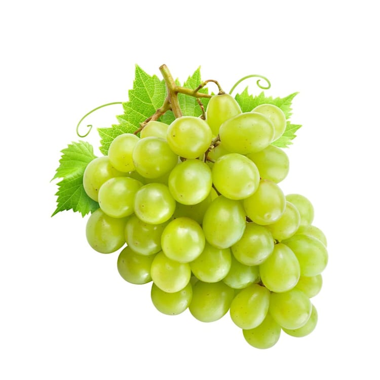 Green Grape Cluster