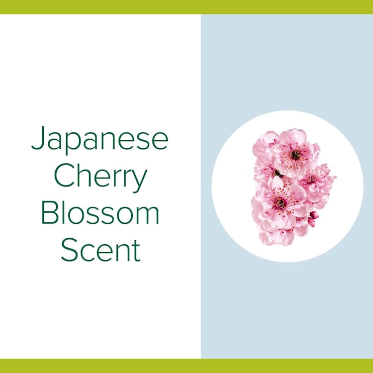 Palmolive Antibacterial Hand Sanitiser Japanese Cherry Blossom