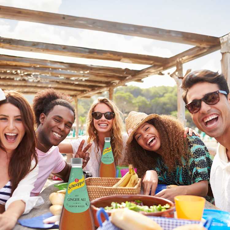 Schweppes Classic Mixers Dry Ginger Ale