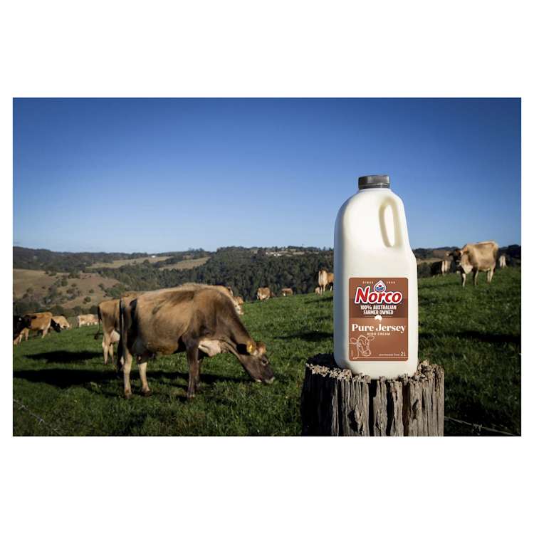 Norco Pure Jersey Milk